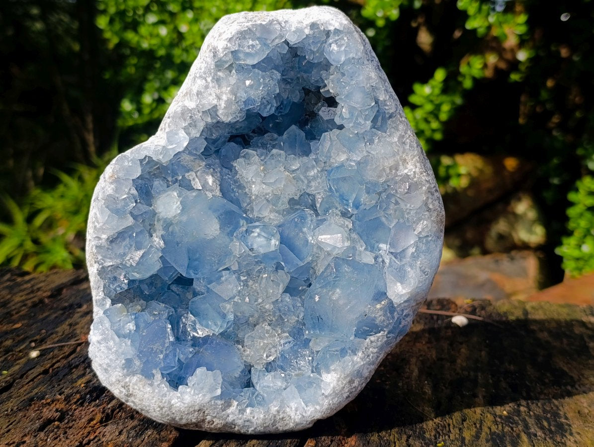 Natural Cabinet Size Blue Celestite Geode Specimen x 1 From Sakoany Madagascar