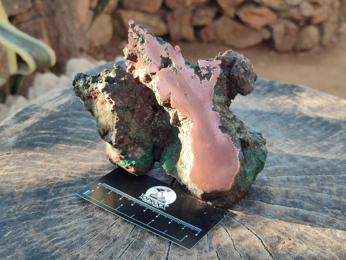Polished One Side Native Copper Ingot Specimen x 1 From Kolwezi, Congo