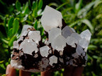 Natural Hollandite Star Quartz Cluster x 1 From Ambositra, Madagascar