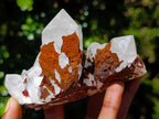 Natural Hollandite Star Quartz Cluster x 1 From Ambositra, Madagascar