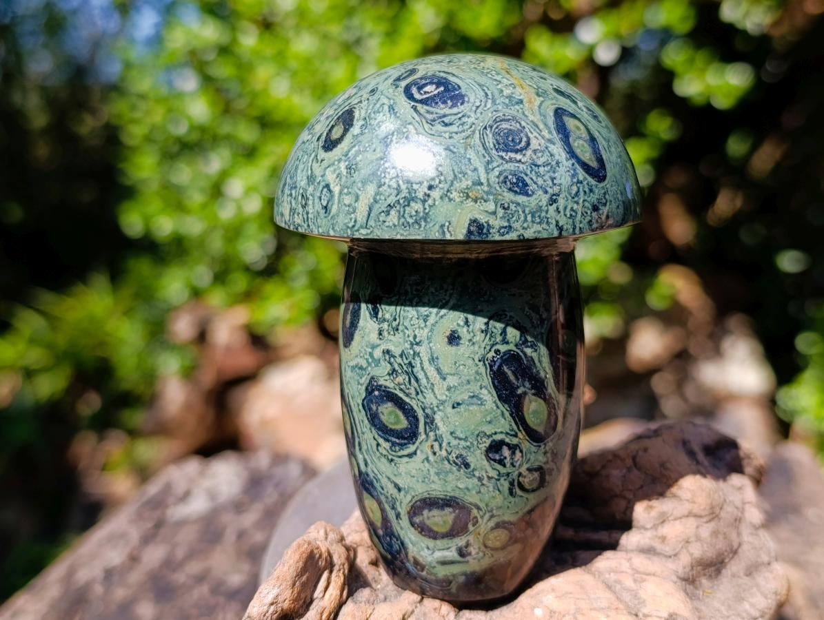 Polished Large Stromatolite Mushroom Carving x 1 From Mahajanga, Madagascar