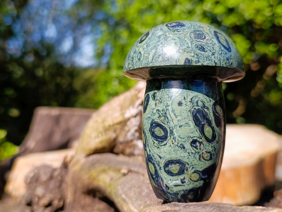 Polished Large Stromatolite Mushroom Carving x 1 From Mahajanga, Madagascar