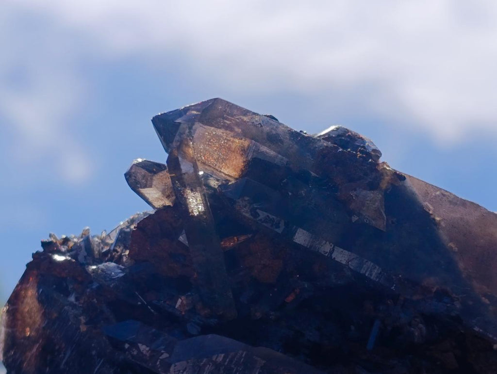 Natural Multi Terminated Morion Smokey Quartz Cluster x 1 From Zomba, Malawi