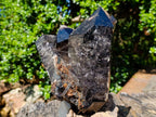 Natural Multi Terminated Morion Smokey Quartz Cluster x 1 From Zomba, Malawi