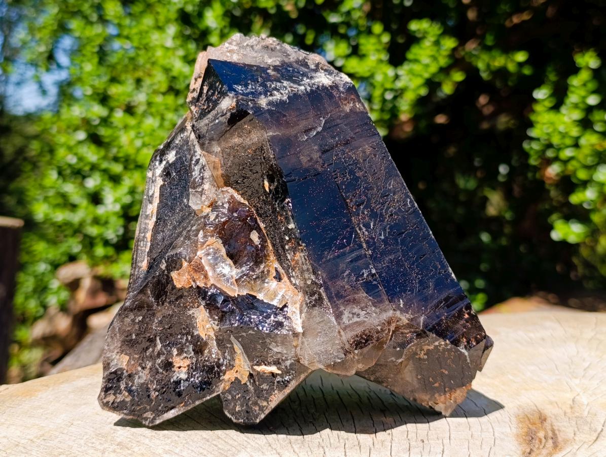 Natural Multi Terminated Morion Smokey Quartz Cluster x 1 From Zomba, Malawi