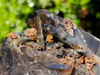 Natural Multi Terminated Morion Smokey Quartz Cluster x 1 From Zomba, Malawi