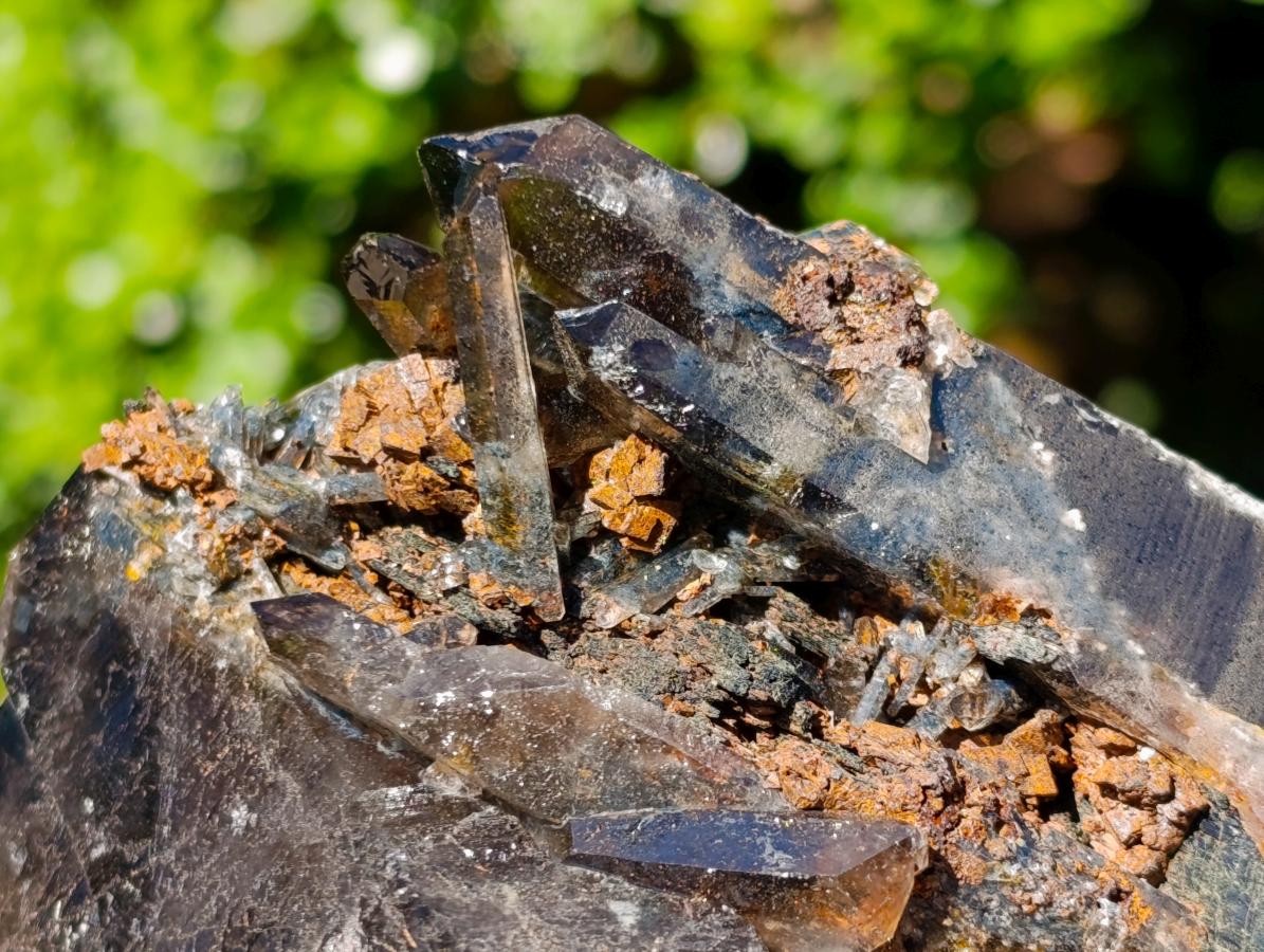 Natural Multi Terminated Morion Smokey Quartz Cluster x 1 From Zomba, Malawi