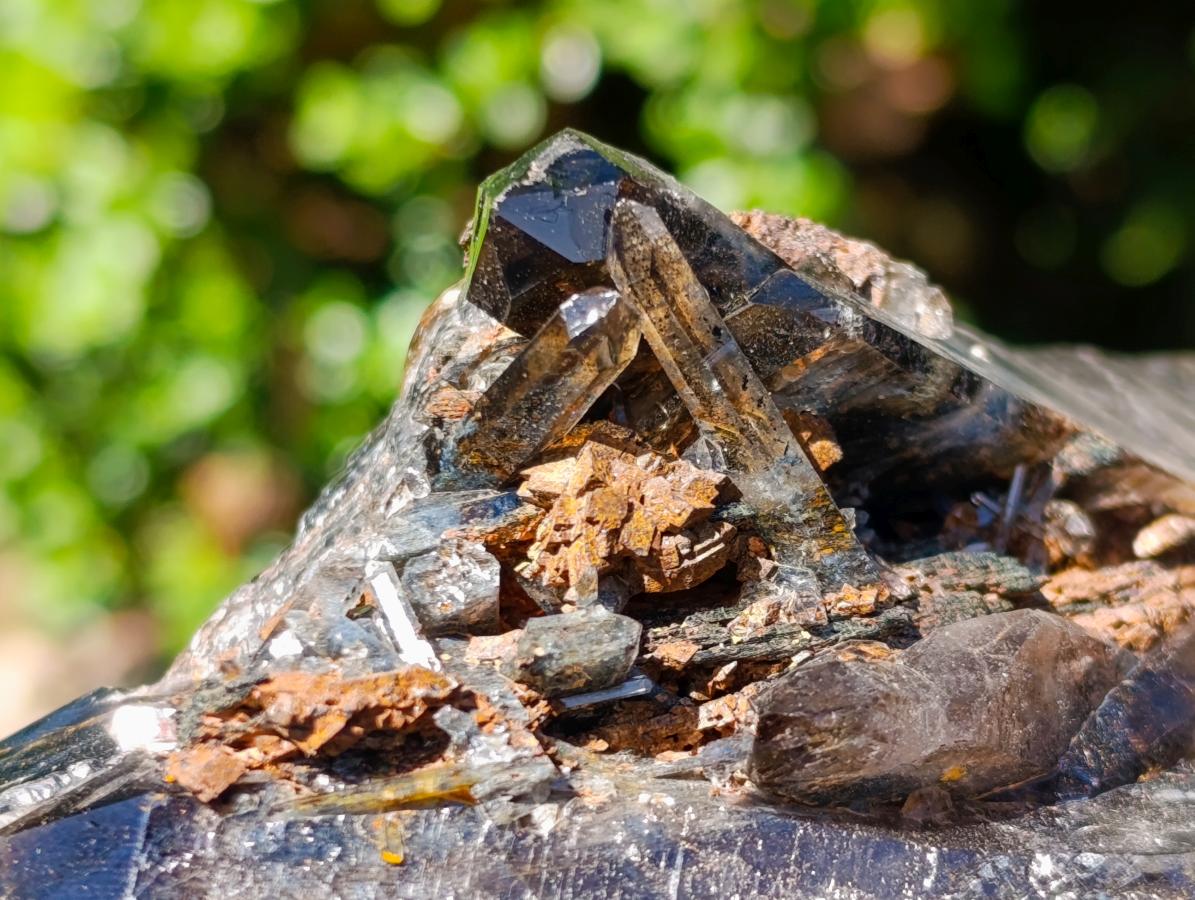 Natural Multi Terminated Morion Smokey Quartz Cluster x 1 From Zomba, Malawi