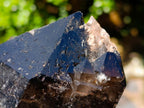Natural Multi Terminated Morion Smokey Quartz Cluster x 1 From Zomba, Malawi