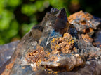 Natural Multi Terminated Morion Smokey Quartz Cluster x 1 From Zomba, Malawi