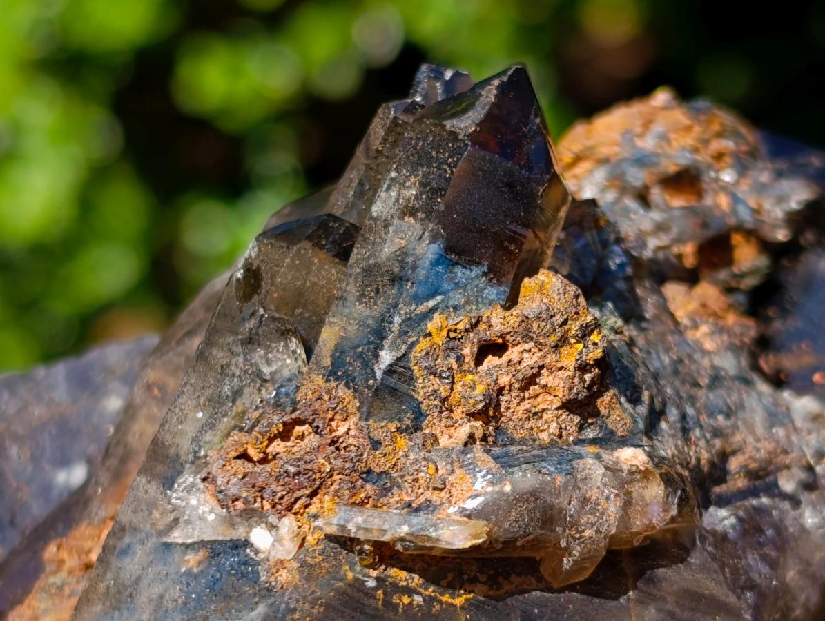 Natural Multi Terminated Morion Smokey Quartz Cluster x 1 From Zomba, Malawi