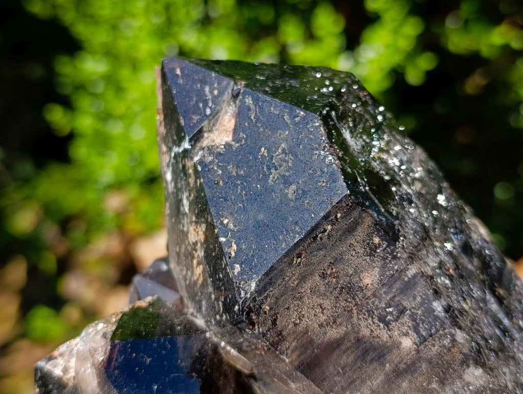 Natural Multi Terminated Morion Smokey Quartz Cluster x 1 From Zomba, Malawi
