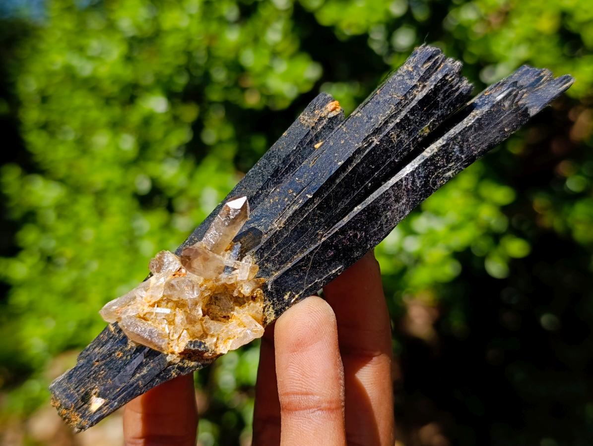 Natural Large Multi Terminated Aegirine with Smokey Quartz x 1 From Zomba, Malawi