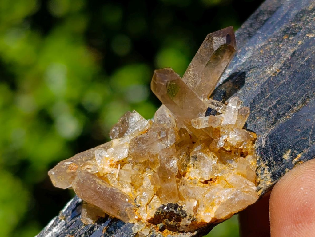 Natural Large Multi Terminated Aegirine with Smokey Quartz x 1 From Zomba, Malawi
