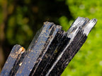 Natural Large Multi Terminated Aegirine with Smokey Quartz x 1 From Zomba, Malawi