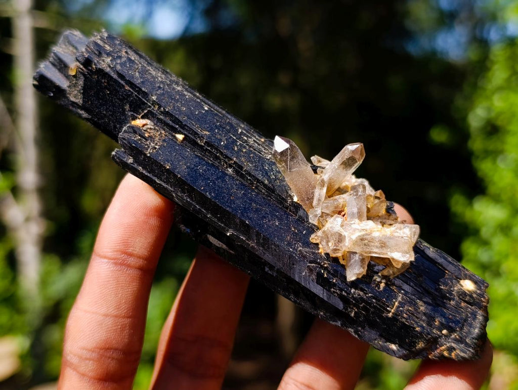Natural Large Multi Terminated Aegirine with Smokey Quartz x 1 From Zomba, Malawi