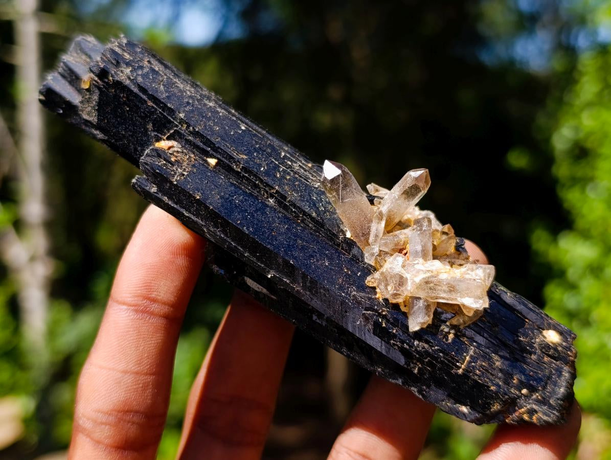 Natural Large Multi Terminated Aegirine with Smokey Quartz x 1 From Zomba, Malawi