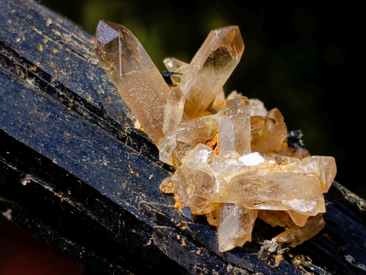 Natural Large Multi Terminated Aegirine with Smokey Quartz x 1 From Zomba, Malawi