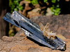 Natural Large Multi Terminated Aegirine with Smokey Quartz x 1 From Zomba, Malawi