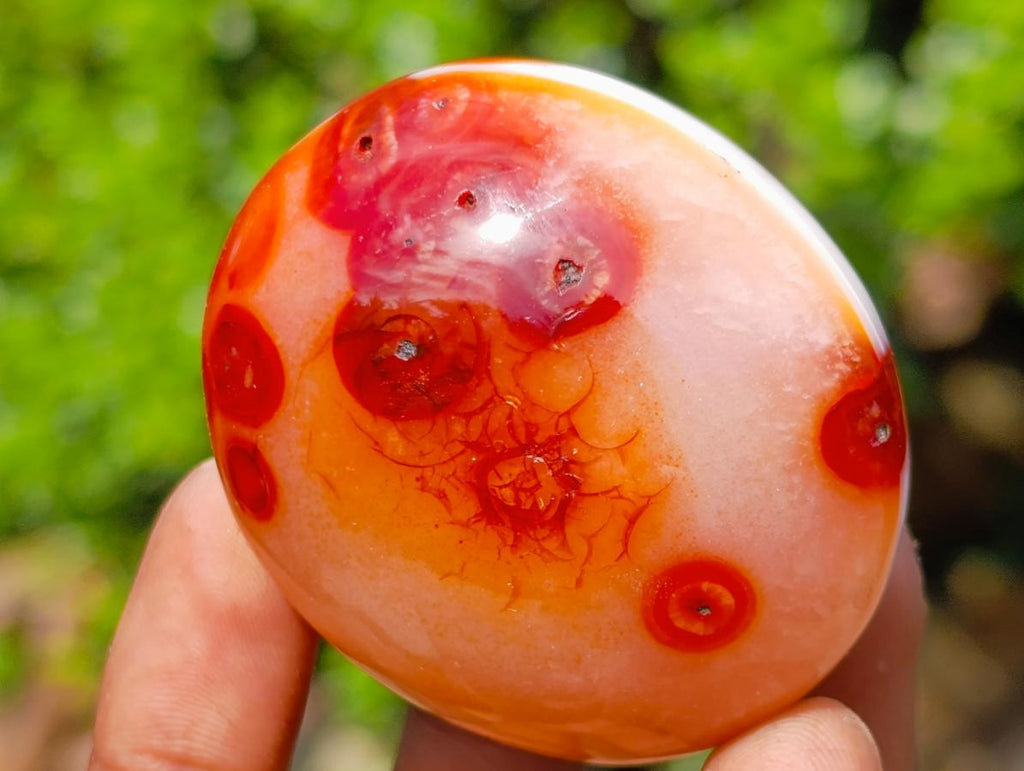 Polished Trio of Carnelian Gemstone Galets x 1 From Madagascar