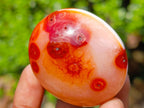 Polished Trio of Carnelian Gemstone Galets x 1 From Madagascar