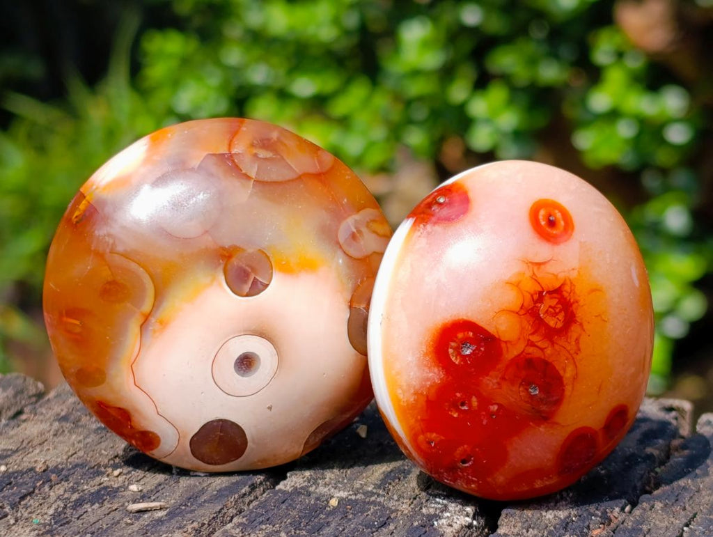 Polished Trio of Carnelian Gemstone Galets x 1 From Madagascar