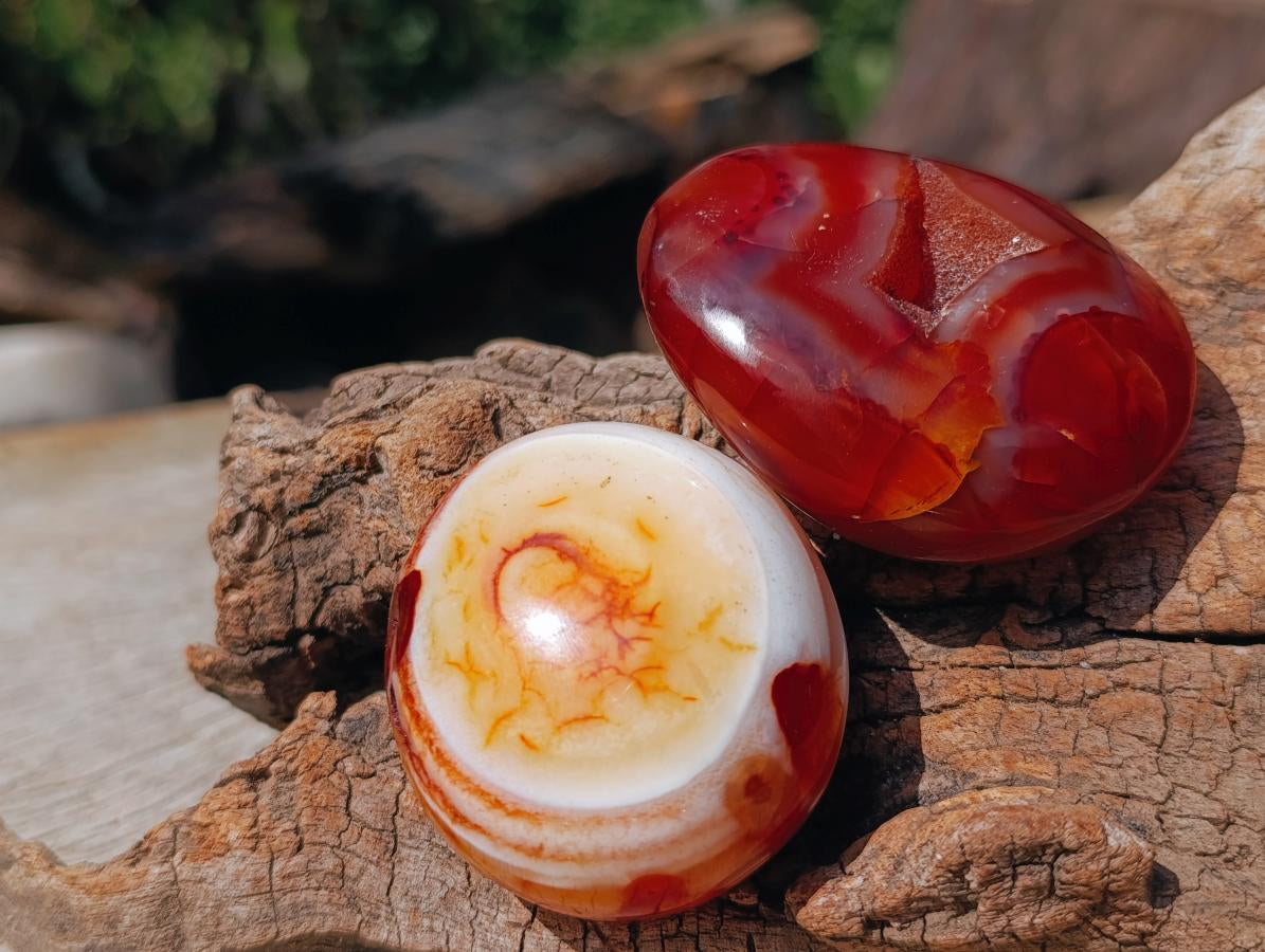 Polished Trio of Carnelian Gemstone Galets x 1 From Madagascar