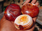 Polished Trio of Carnelian Gemstone Galets x 1 From Madagascar