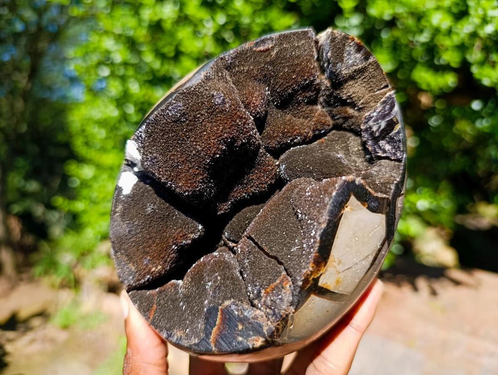 Polished Septerye Sauvage Dragons Egg with Gypsum Crystals x 1 From Mahajanga, Madagascar