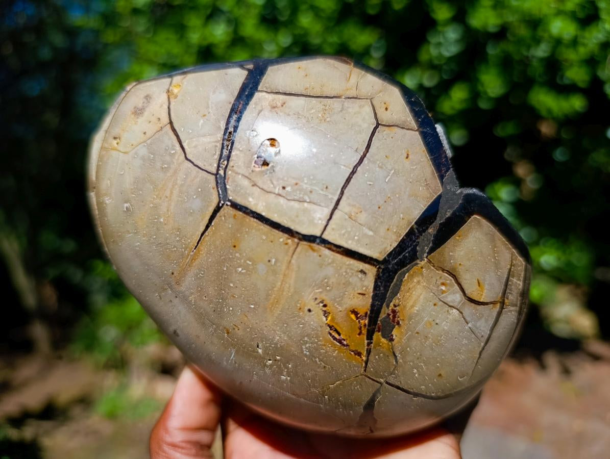 Polished Septerye Sauvage Dragons Egg with Gypsum Crystals x 1 From Mahajanga, Madagascar