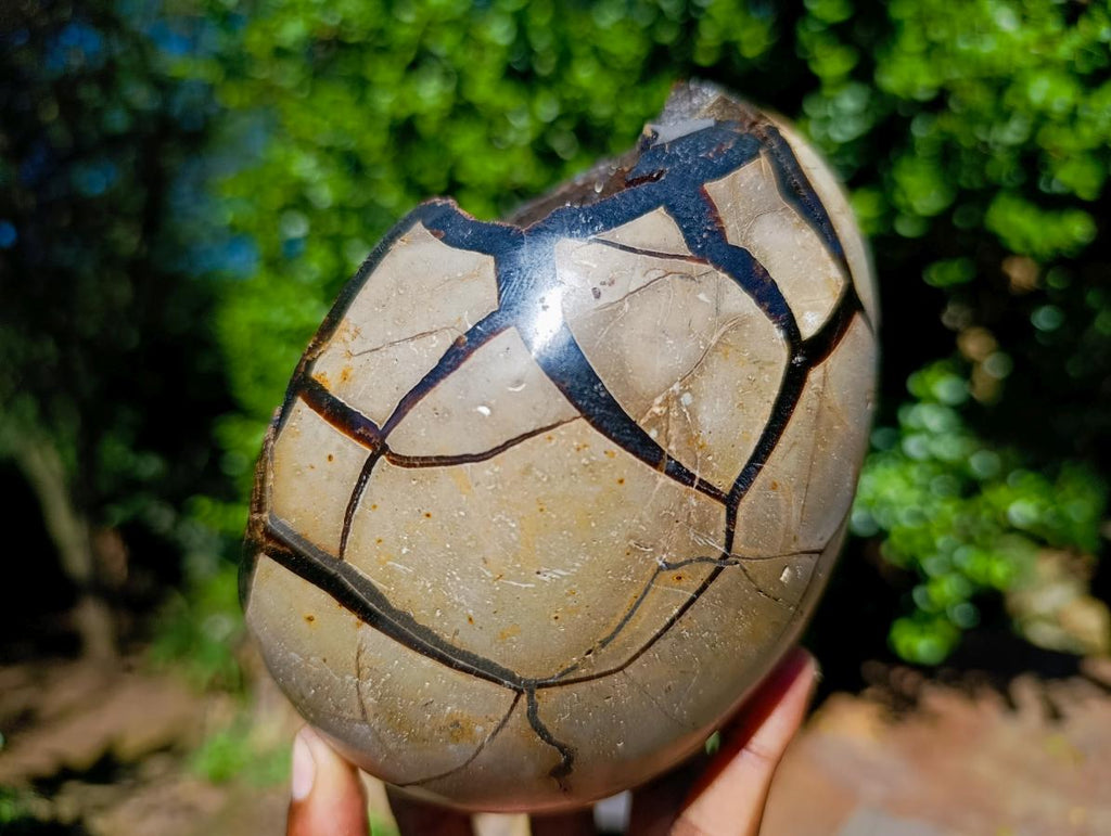 Polished Septerye Sauvage Dragons Egg with Gypsum Crystals x 1 From Mahajanga, Madagascar