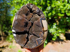 Polished Septerye Sauvage Dragons Egg with Gypsum Crystals x 1 From Mahajanga, Madagascar