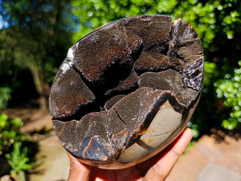 Polished Septerye Sauvage Dragons Egg with Gypsum Crystals x 1 From Mahajanga, Madagascar