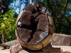Polished Septerye Sauvage Dragons Egg with Gypsum Crystals x 1 From Mahajanga, Madagascar
