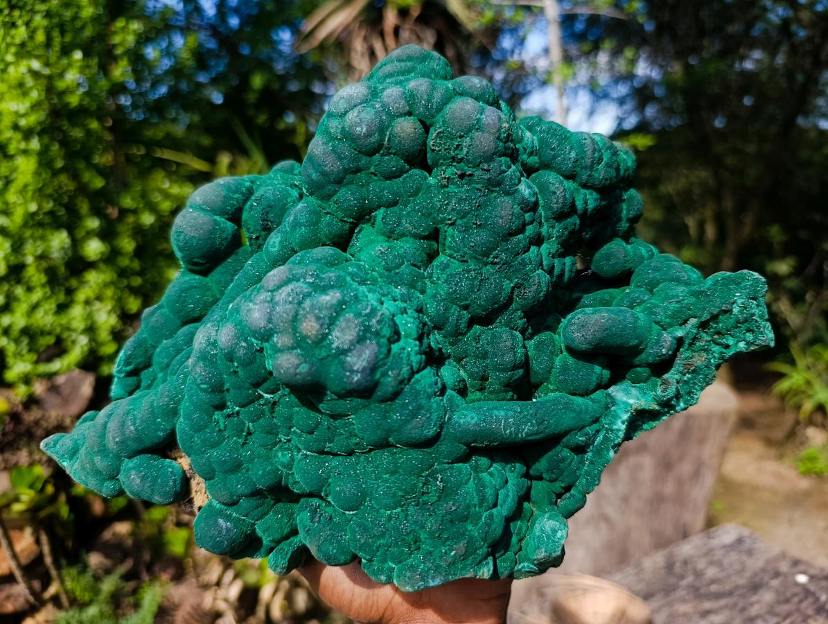 Natural XL Silky Botryoidal Malachite Specimen x 1 From Kasompe, Congo
