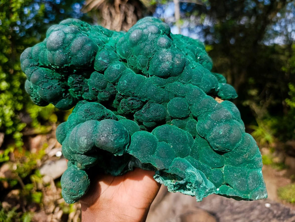 Natural XL Silky Botryoidal Malachite Specimen x 1 From Kasompe, Congo