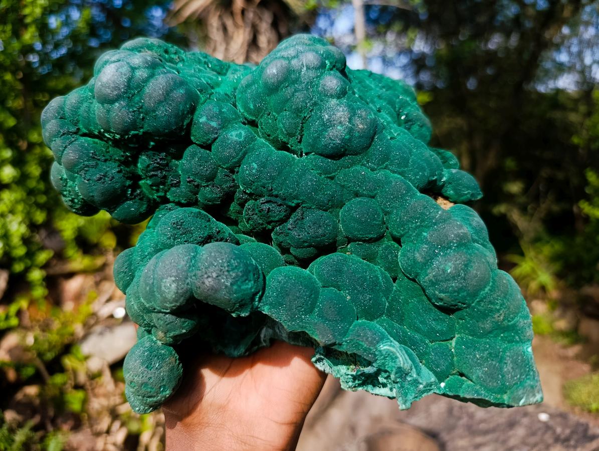 Natural XL Silky Botryoidal Malachite Specimen x 1 From Kasompe, Congo