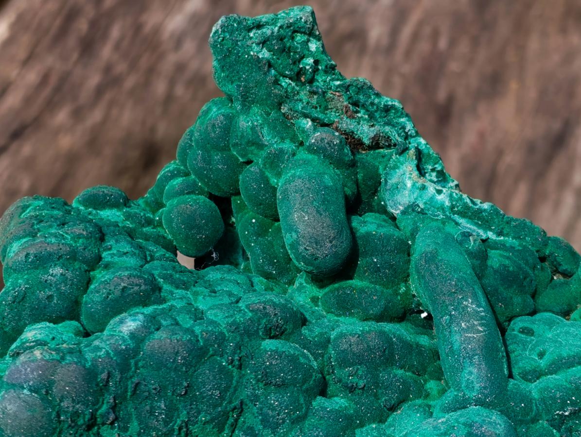 Natural XL Silky Botryoidal Malachite Specimen x 1 From Kasompe, Congo