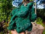Natural XL Silky Botryoidal Malachite Specimen x 1 From Kasompe, Congo