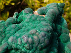 Natural XL Silky Botryoidal Malachite Specimen x 1 From Kasompe, Congo