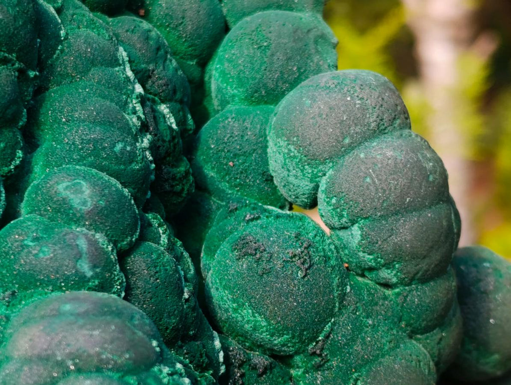 Natural XL Silky Botryoidal Malachite Specimen x 1 From Kasompe, Congo