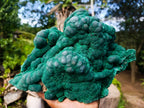 Natural XL Silky Botryoidal Malachite Specimen x 1 From Kasompe, Congo