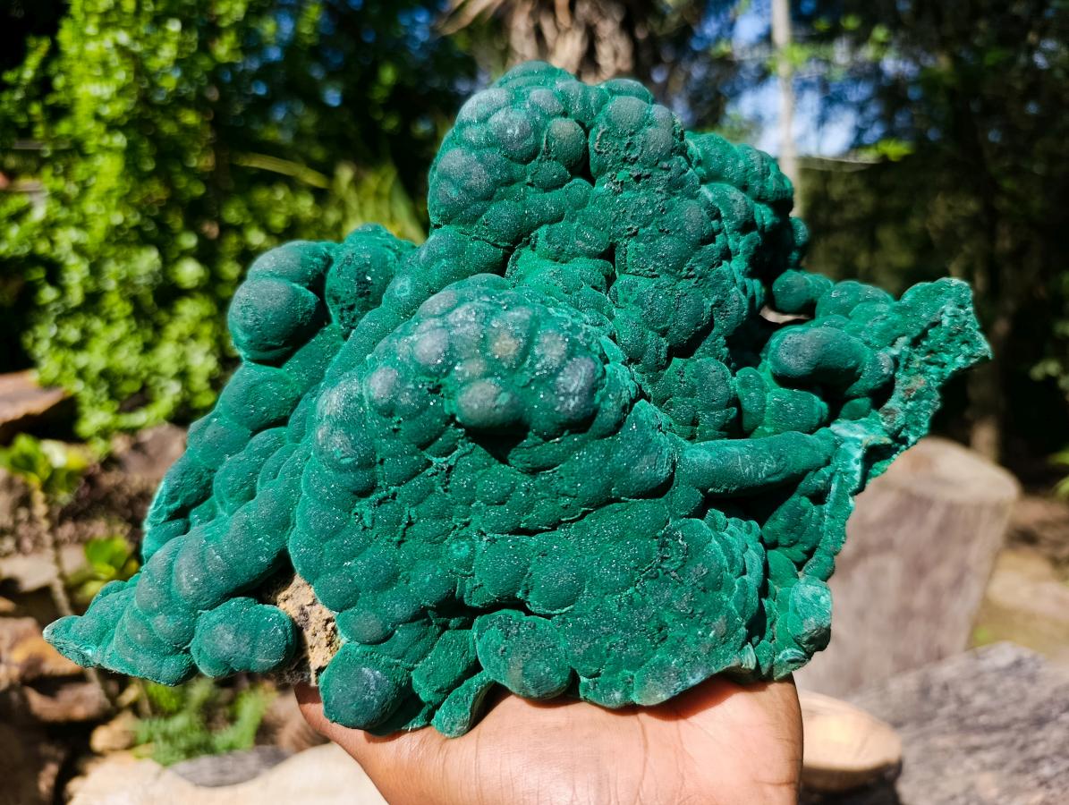 Natural XL Silky Botryoidal Malachite Specimen x 1 From Kasompe, Congo
