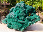 Natural XL Silky Botryoidal Malachite Specimen x 1 From Kasompe, Congo