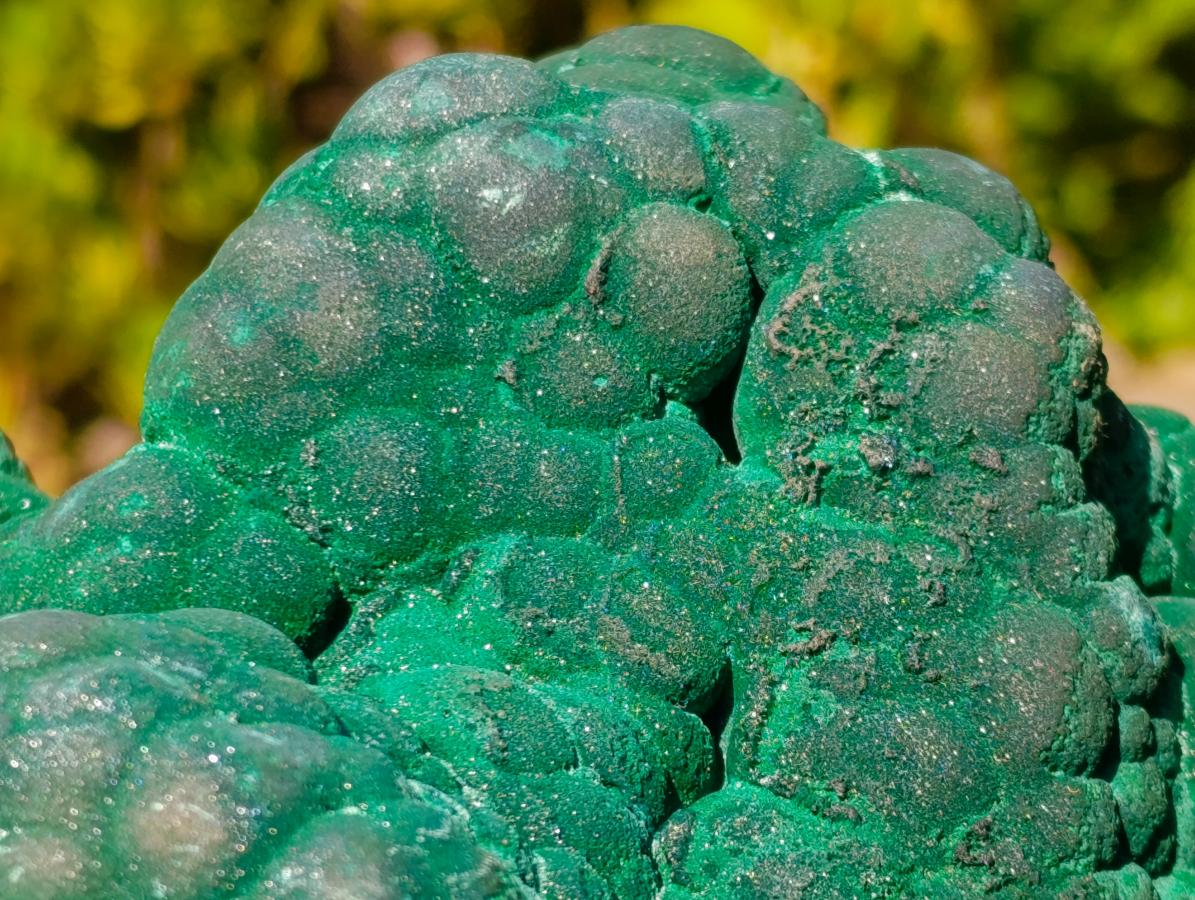 Natural XL Silky Botryoidal Malachite Specimen x 1 From Kasompe, Congo