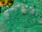 Natural XL Silky Botryoidal Malachite Specimen x 1 From Kasompe, Congo