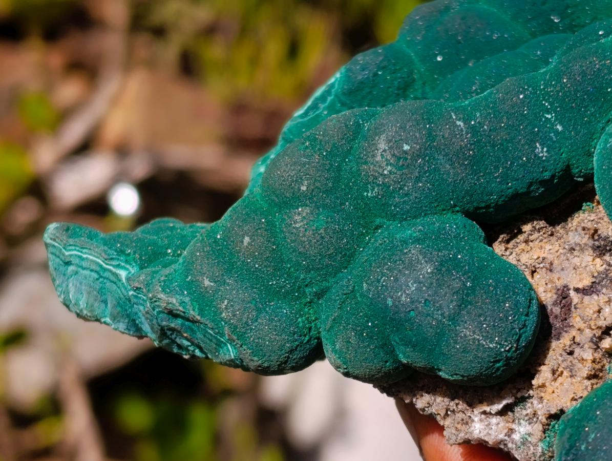 Natural XL Silky Botryoidal Malachite Specimen x 1 From Kasompe, Congo