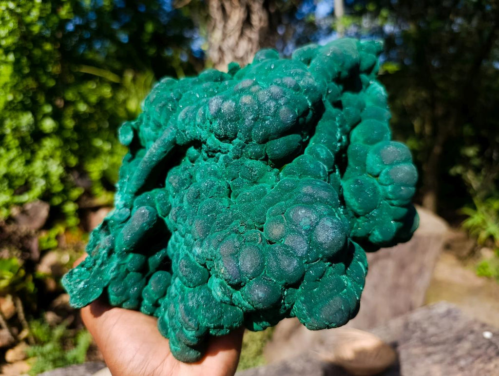 Natural XL Silky Botryoidal Malachite Specimen x 1 From Kasompe, Congo