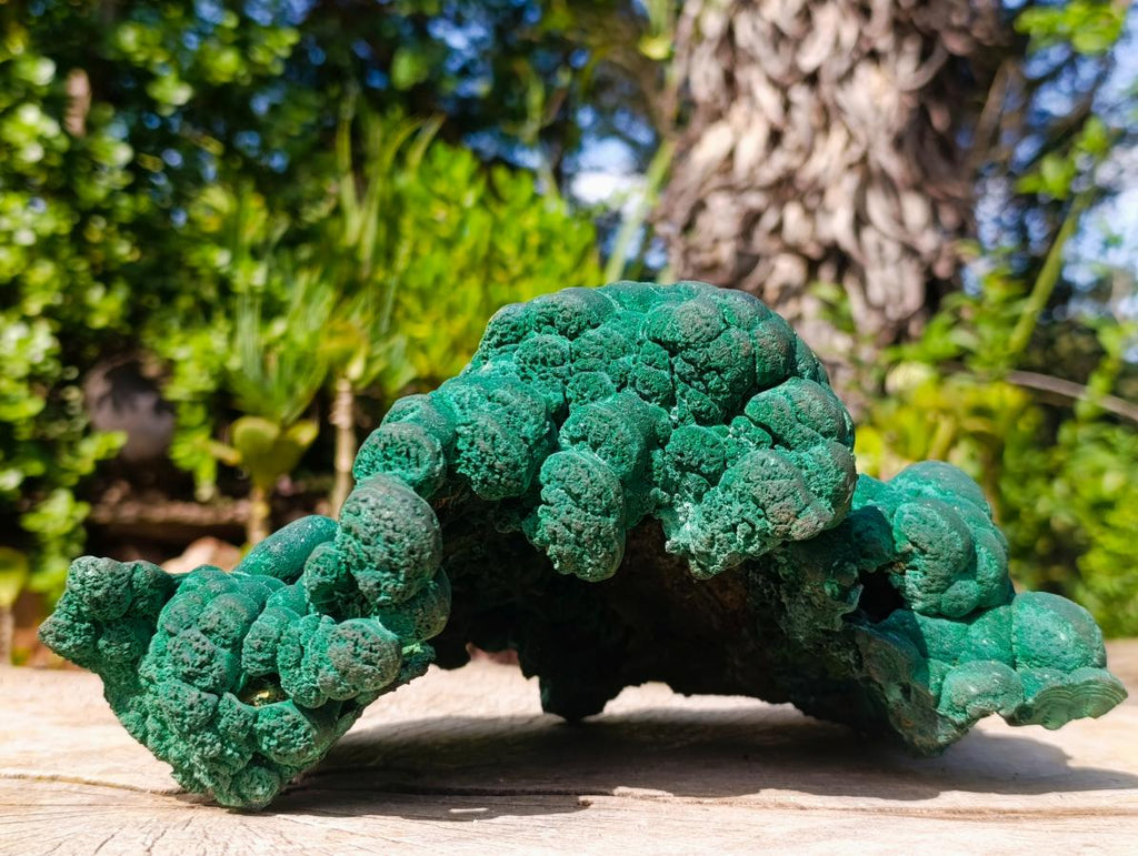 Natural XL Silky Botryoidal Malachite Specimen x 1 From Kasompe, Congo