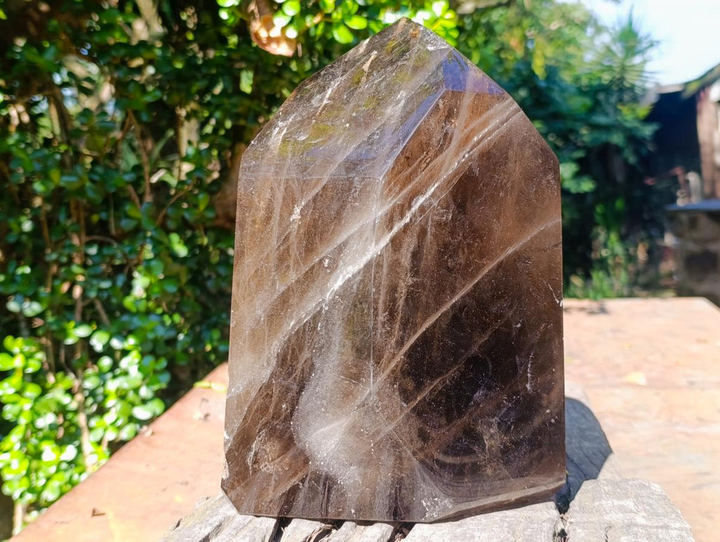 Polished XL Smokey Window Quartz Display Crystal x 1 From Madagascar